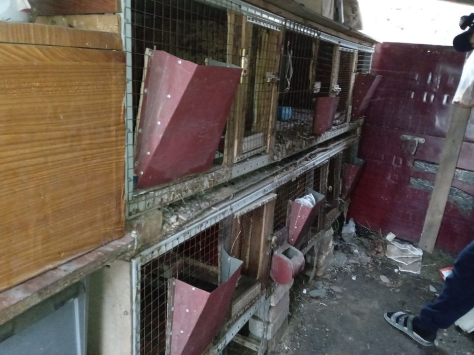 Клетки для животных