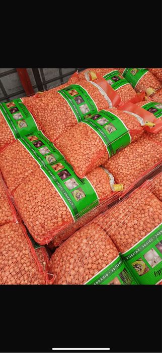 Vand Arpagic Olanda Stuttgarter 14/17 // 14/21 // 10/21