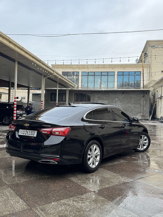 Malibu primer 2021 yil tozza