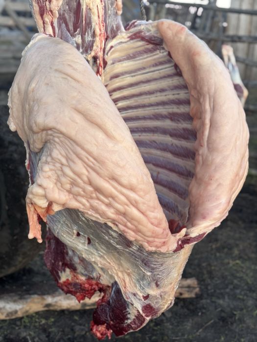 Мясо Конины всегда