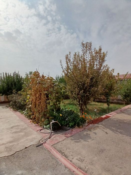 Tayyor 6 sotix uy. Barcha jixozlari bilan sotiladi. Krediti yo'q.