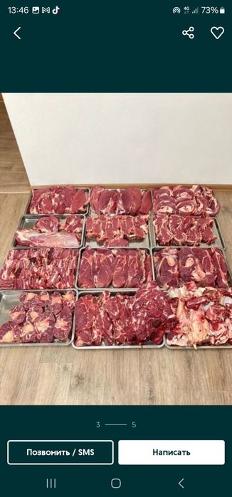 Жылкы еті сатам.с степи