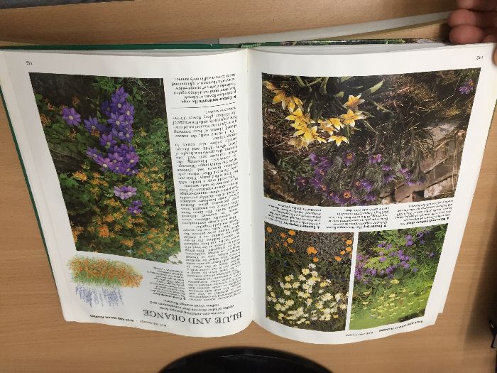 25Цветна Книга Енциклопедия - Colour Round The Year