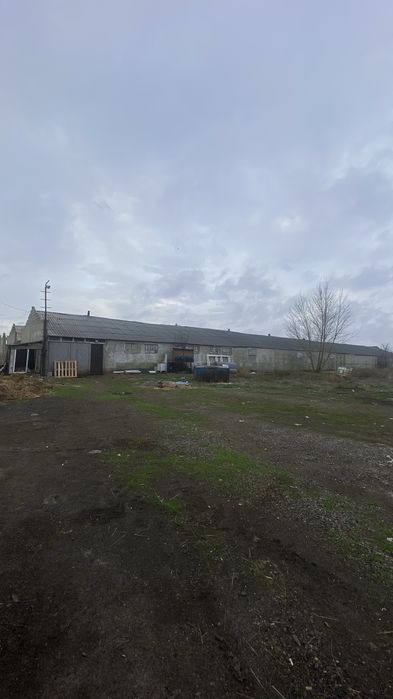 Продам Базу для откорм