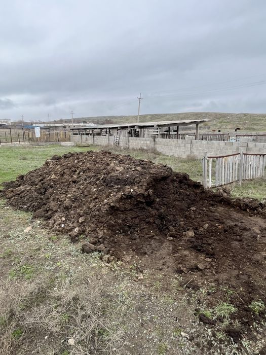 Навоз конный перегной