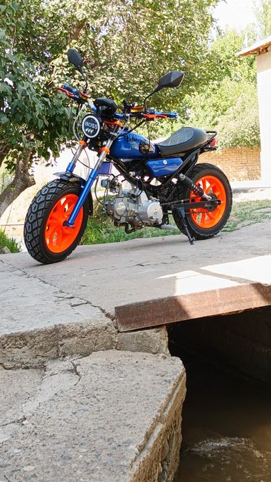 Holati yangi aybi yoq