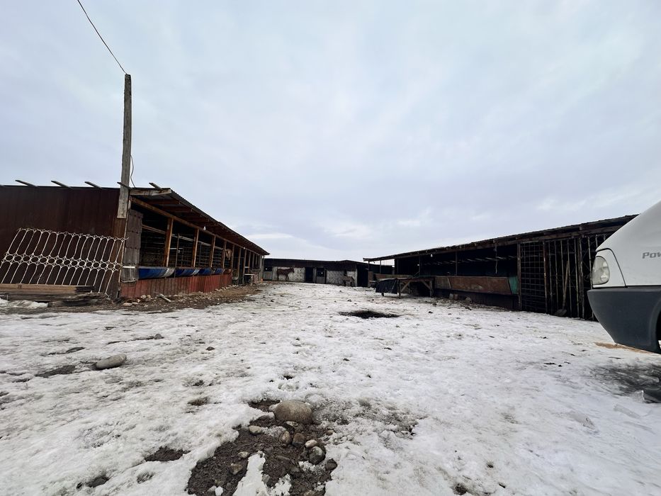 Продается Фазенда