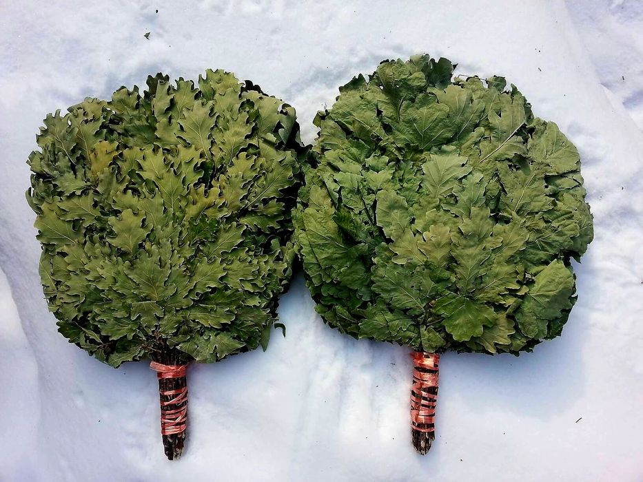 Веник дубовый и берёза + Доставка