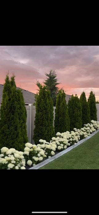 Услуги профессионального садовника