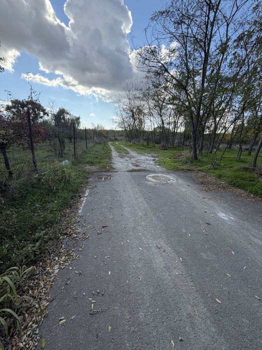 Vând teren extravilan Dragomirești Vale