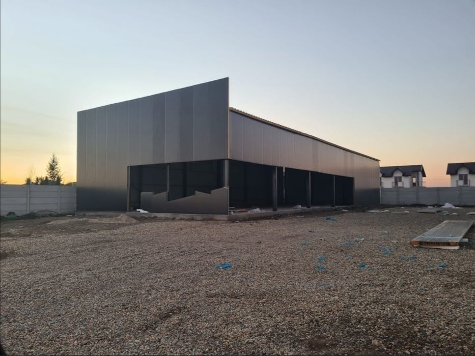 Vand structura metalica 9x12x3