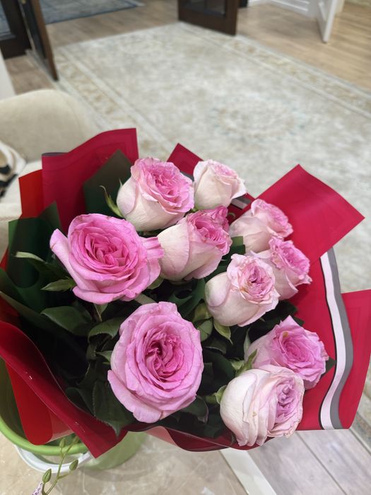 Голландский роза, очень красивые