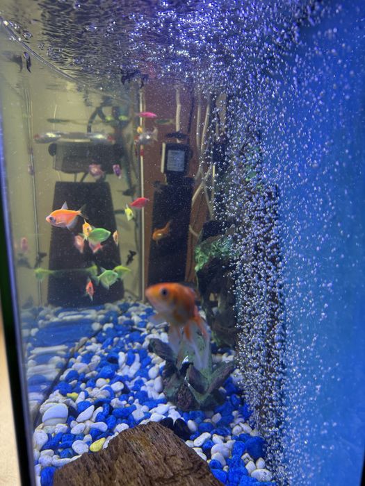 Продается аквариум