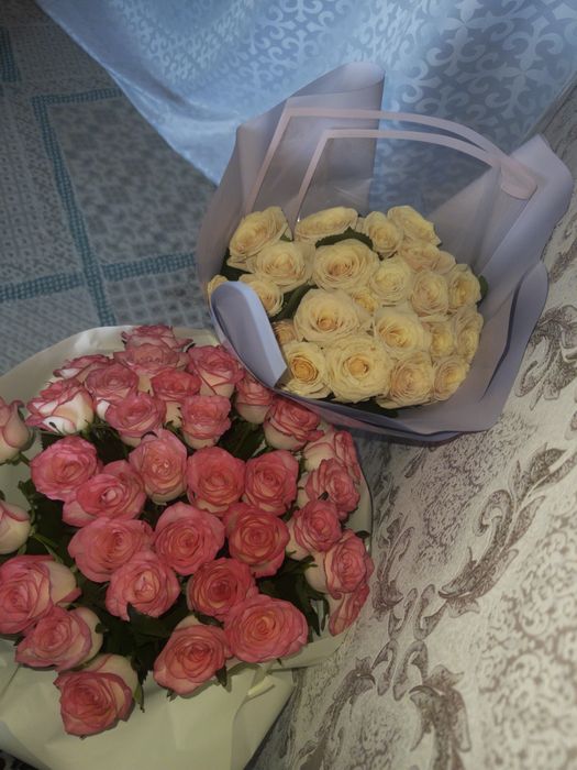 бүгінгі гулдер солайымен тұр 10к дан