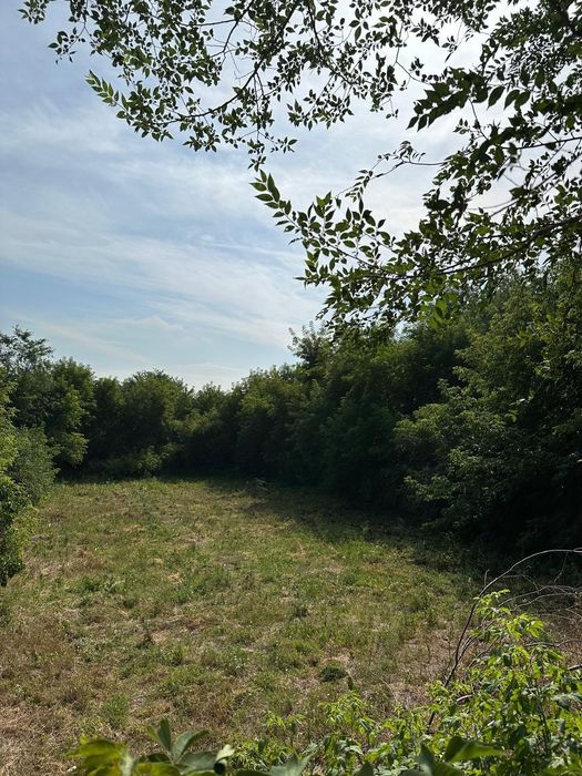 Продам дачный участок 12 соток