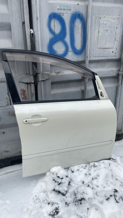 Ноускат Ипсум S комплектация