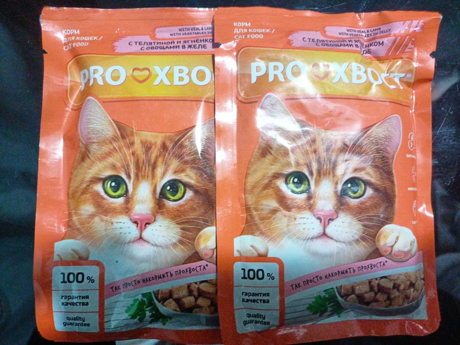 Корм для кошек, котят