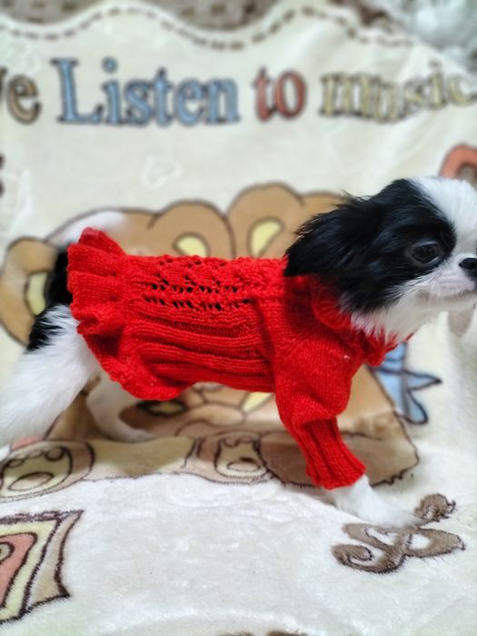 Вязанки для собак.