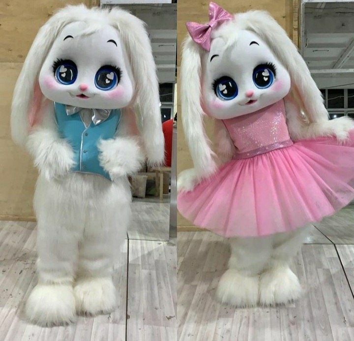 ayiq sotiladi ayiqlar sotiladi