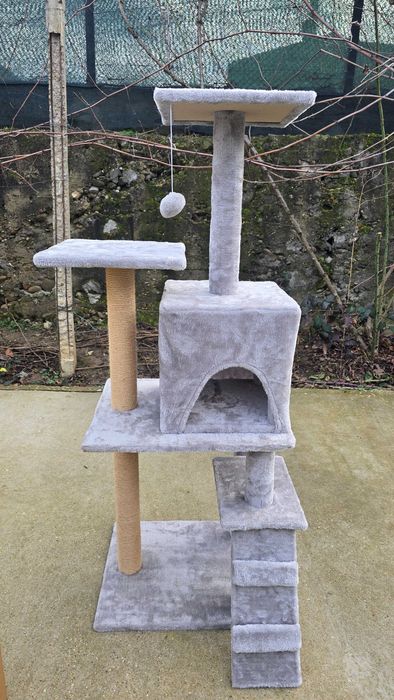 Катерушка котешка