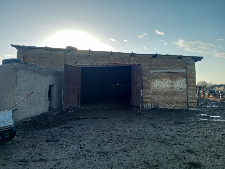 Ferma molxona naveslari bilan