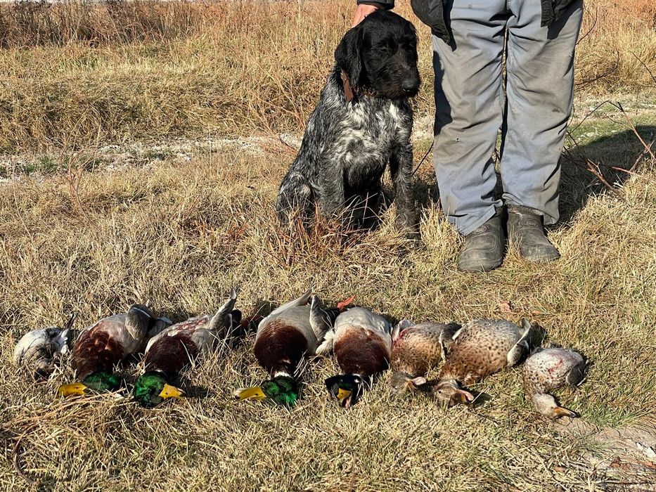 Охочный рабочи ит сатылады