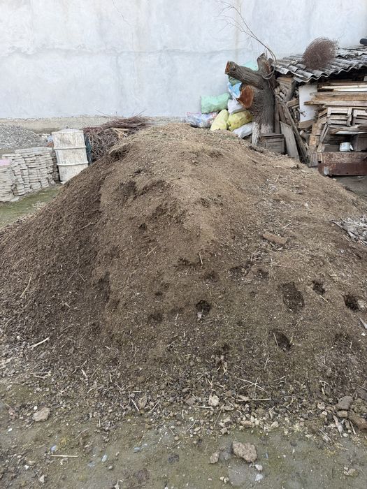 Poru qoyniki sotilai