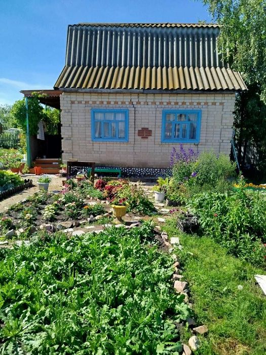 продам дачу с/о Борки