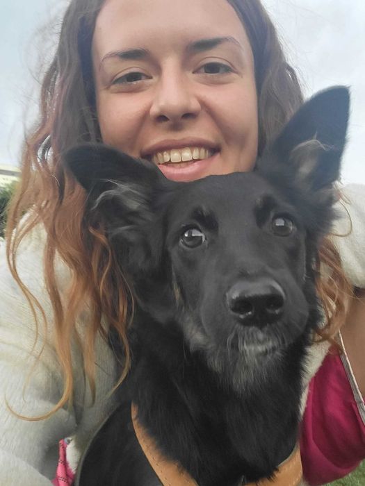 Pesitting/Pet Hotel/Cazare catei