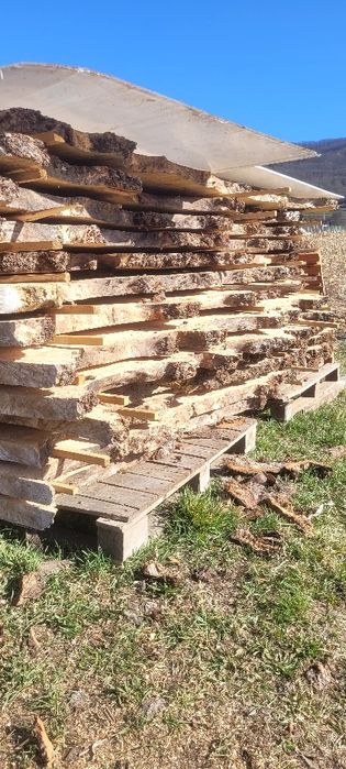 Cherestea plop bubos Premium uscată-plăci mari pentru mese epoxi/rivar