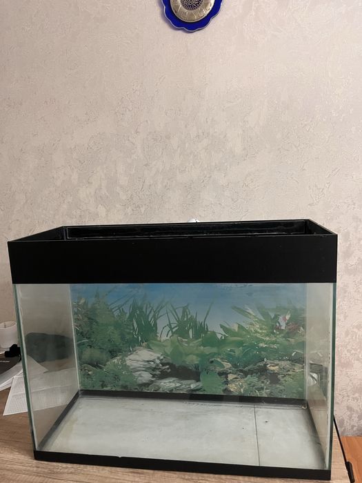Продам аквариум