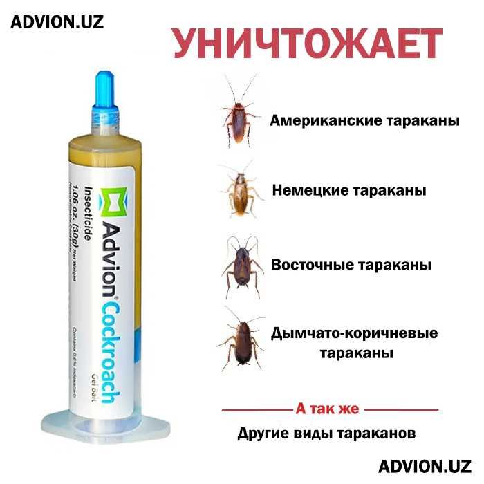 Advion Cockroach шприц от тараканов ОРИГИНАЛ! Tarakan dori