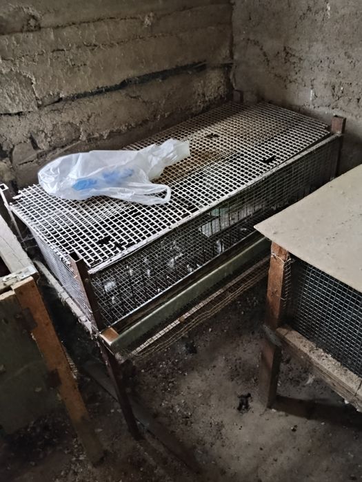 Клетки для перепелов