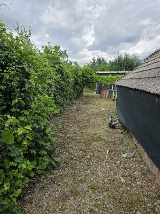 Casă de vânzare demolabilă, cu teren intravilan.