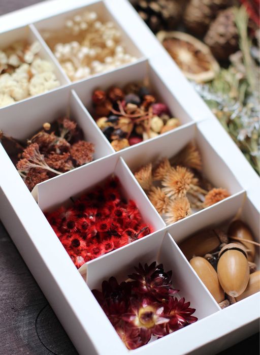Сухоцветы в наборах