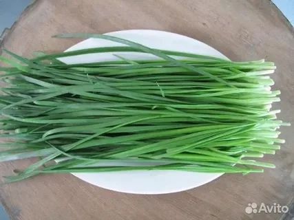 Жусай семена джусай