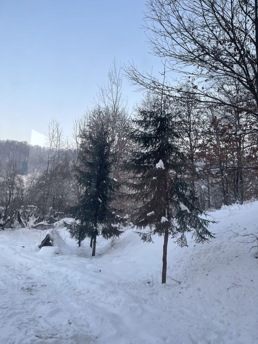 DE VÂNZARE – CASĂ + TEREN + PASUNE in Sighetul Marmatiei