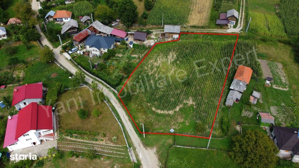 Teren de vânzare în comuna Băiculești, sat Tutana, județ Argeș.