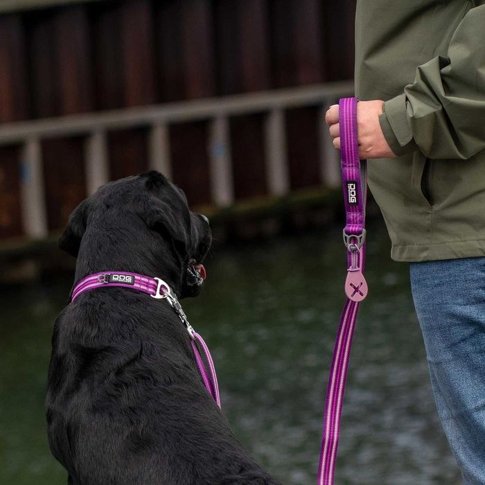 Каишка DOG Copenhagen Urban Freestyle 3.0, оранжева, S