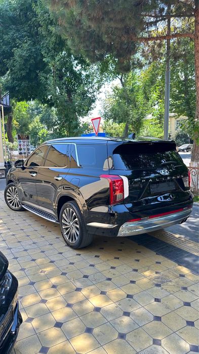 Hyundai palisade 2024