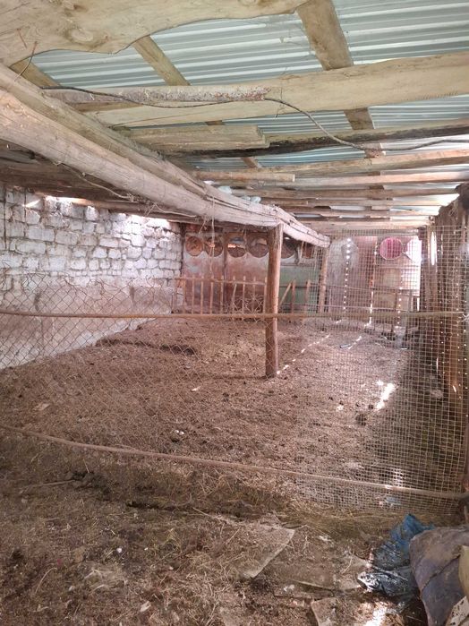 Продам ДОМ пос. АКБИДАЙ