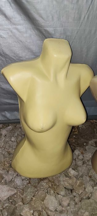 Bust manechin damă