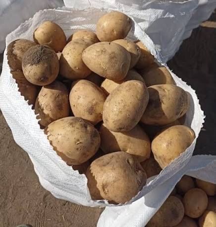 Продам мешки картошки