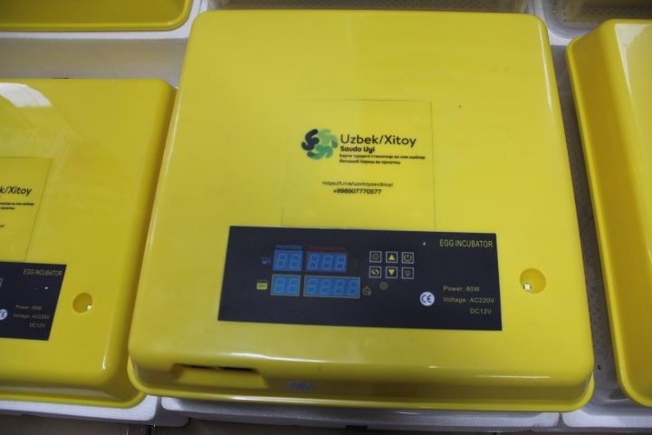 Инкубаторлар