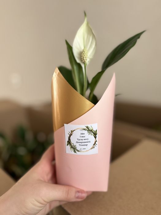 Тойбастар. Женское счастье