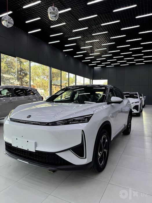 DongFeng AEOLUS L7