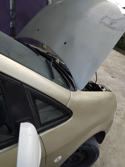 Takuma 2007-yil rangi wampanski