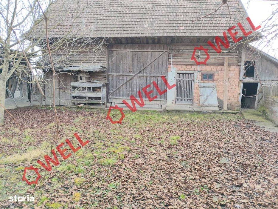 Proprietate cu 2 case de vânzare în Tamașfalău!