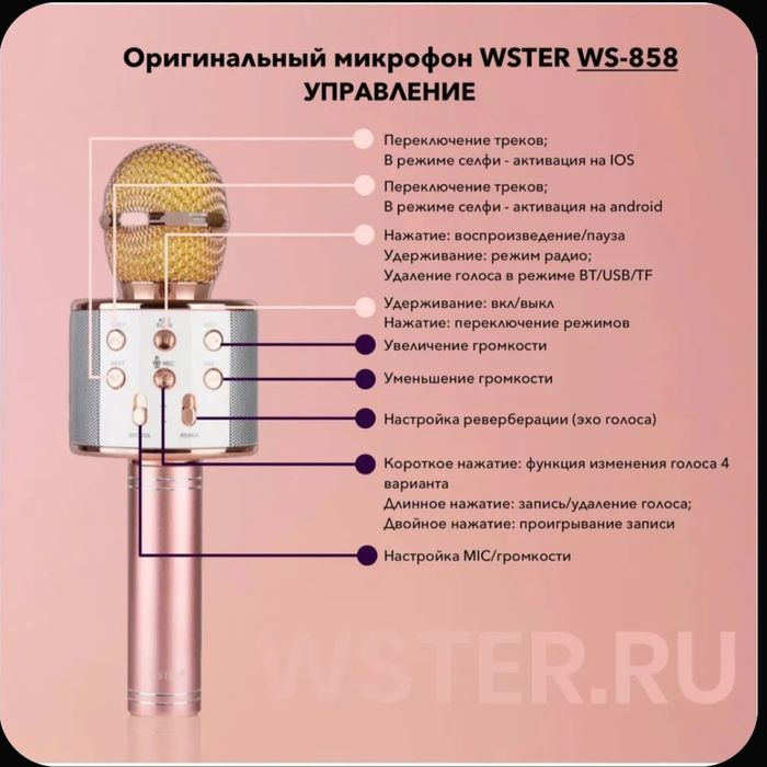 Микрофон для пения