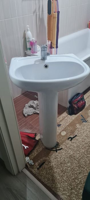 Раковина -тюльпан